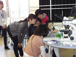 藍藻類の入ったビーカーに光を当てると、酸素が出る様子