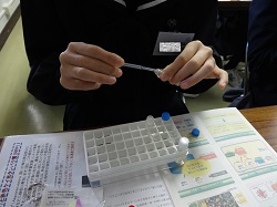 小麦胚芽の液にmRNAを注ぐ様子