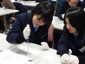 高分子化合物の合成によりナイロン繊維を合成する実験の様子1