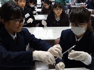 高分子化合物の合成によりナイロン繊維を合成する実験の様子2